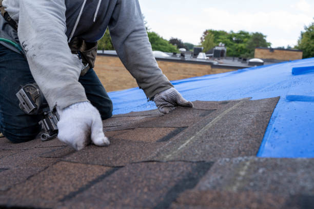 Best Shingle Roofing Installation  in Decherd, TN