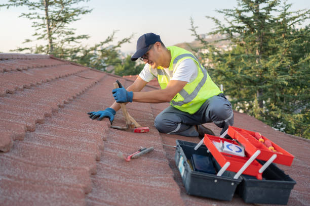 Best Roof Repair Services  in Decherd, TN