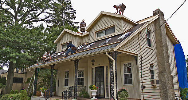 Best Metal Roofing Contractor  in Decherd, TN