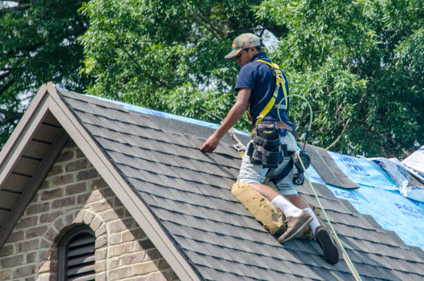 Best Roof Leak Repair  in Decherd, TN